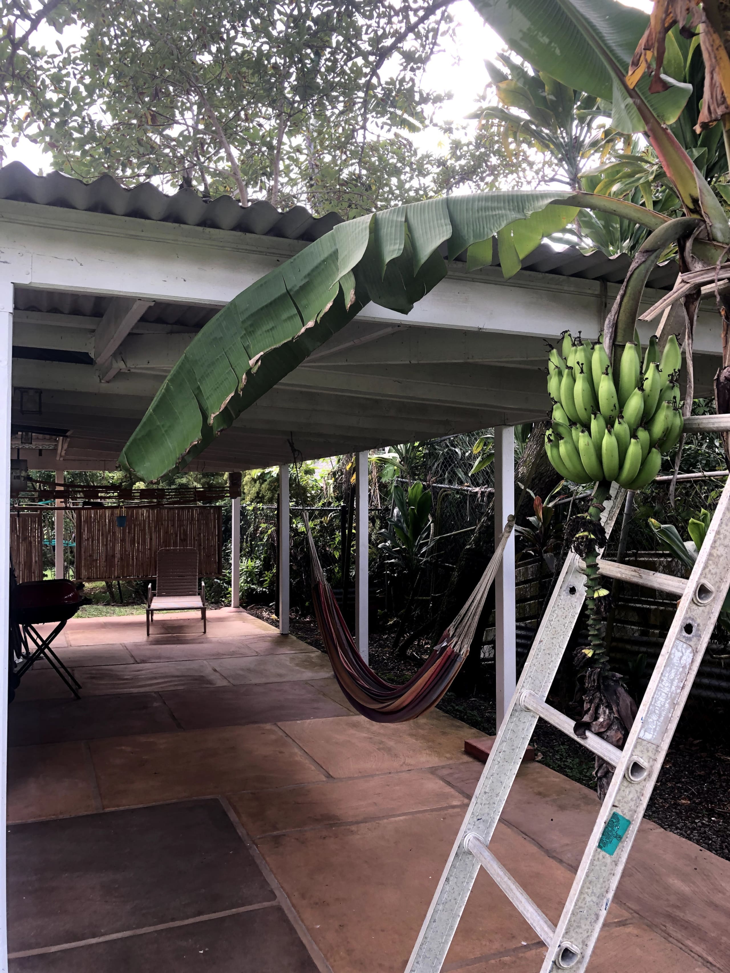 Hanalei Garden Surf Cottage - Image 6
