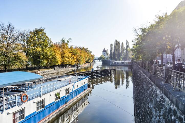 Neo-baroque Apartment with a View gallery image 3