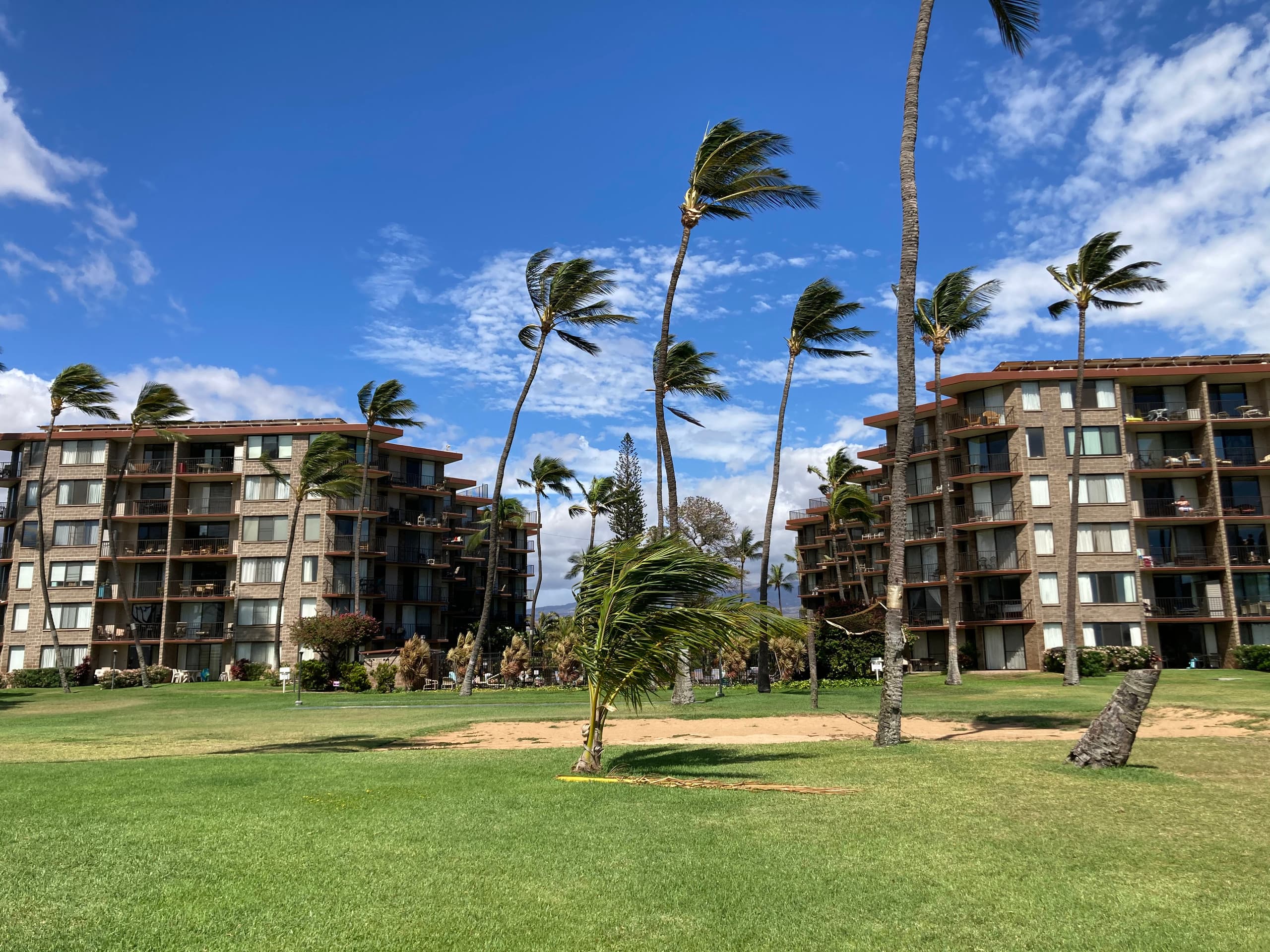 PREMIUM OCEAN VIEW REMODELED Condo * OCEANFRONT - Image 30