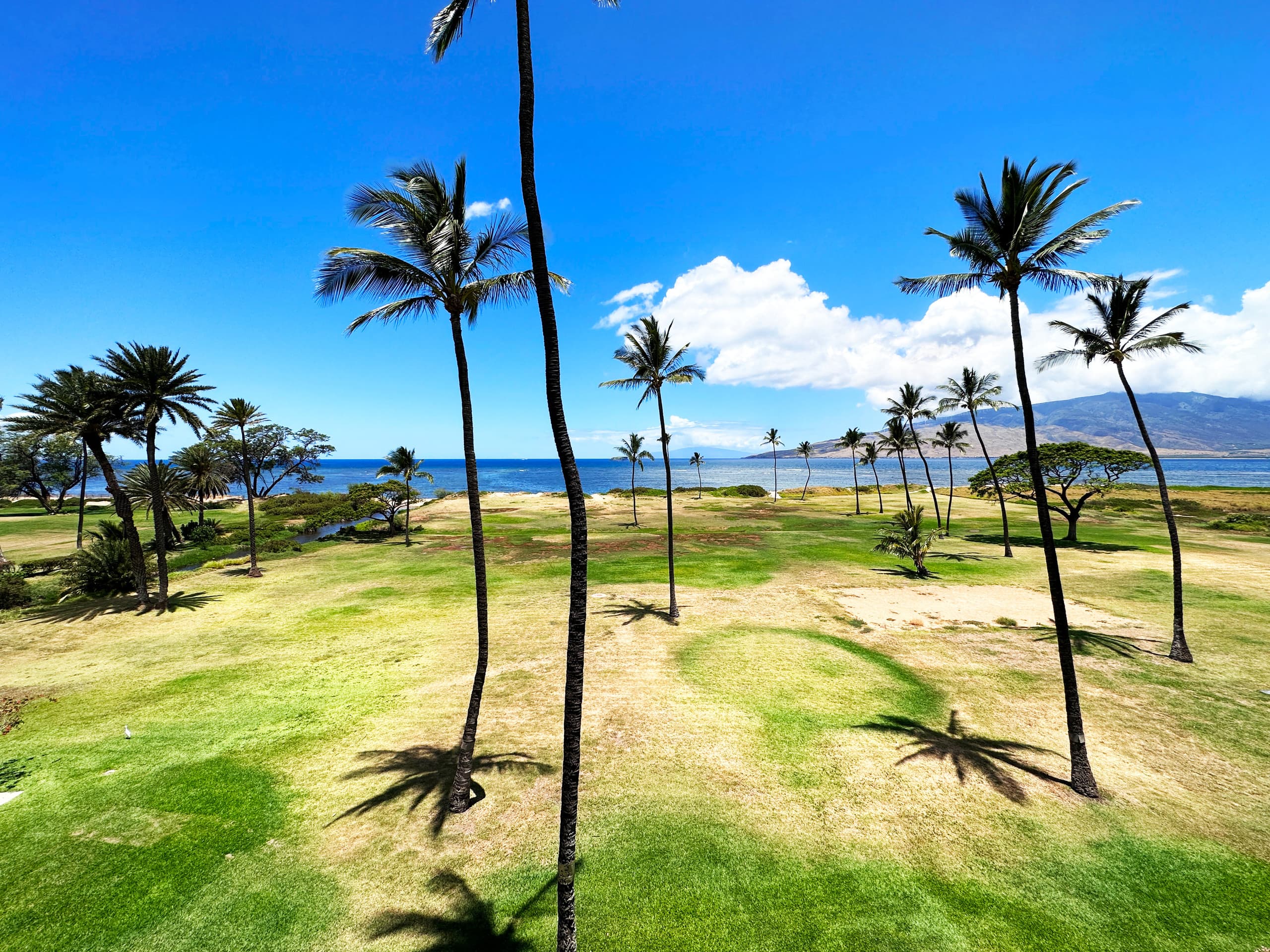 PREMIUM OCEAN VIEW REMODELED Condo * OCEANFRONT - Image 27