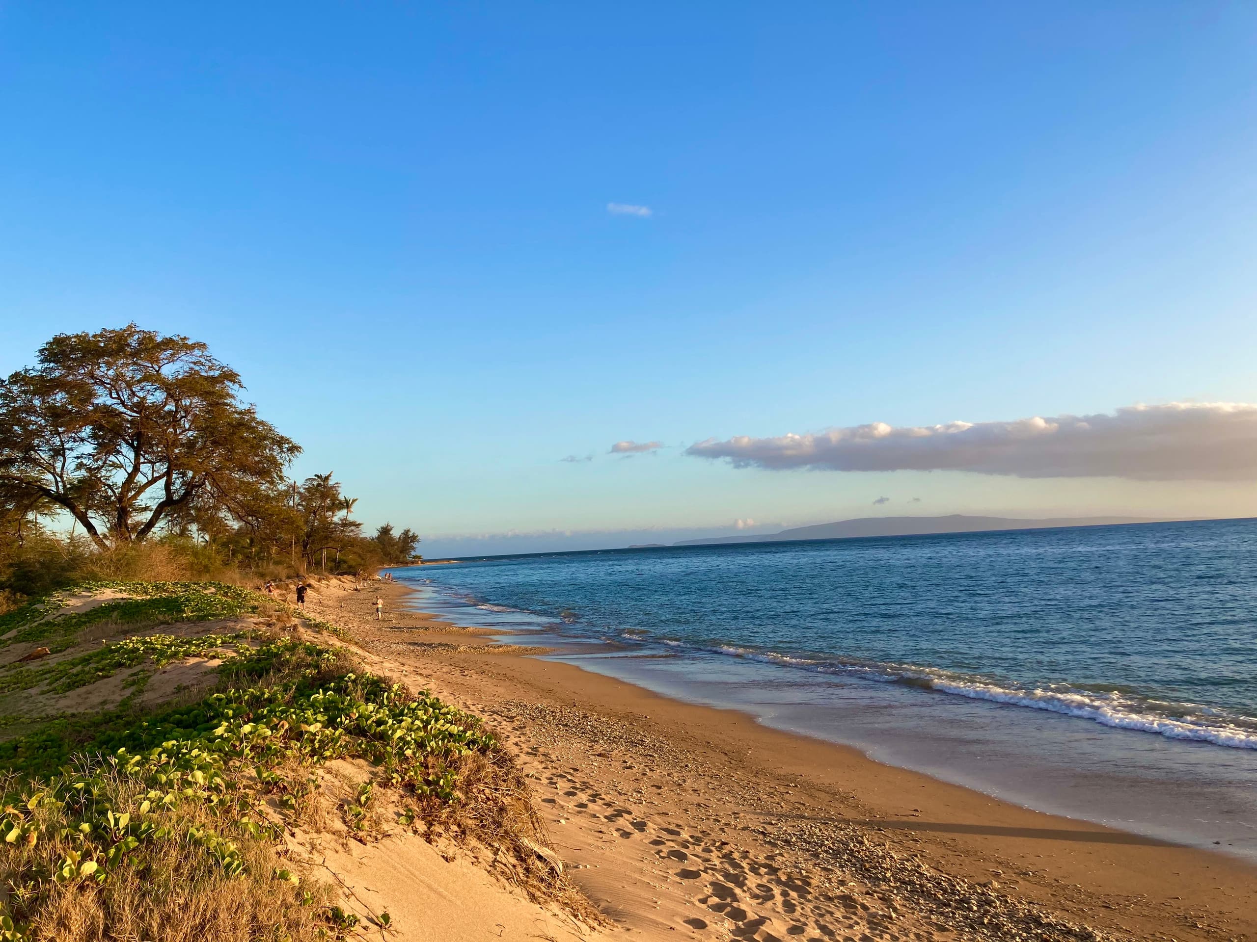 PREMIUM OCEAN VIEW REMODELED Condo * OCEANFRONT - Image 36