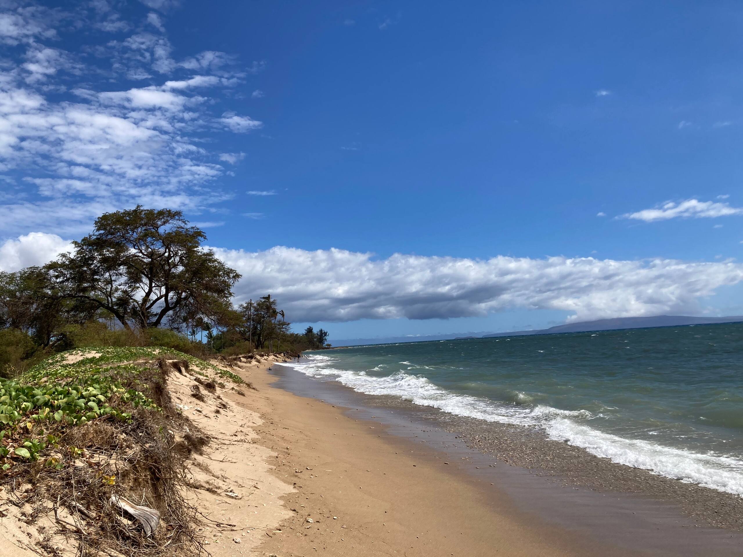 PREMIUM OCEAN VIEW REMODELED Condo * OCEANFRONT - Image 33