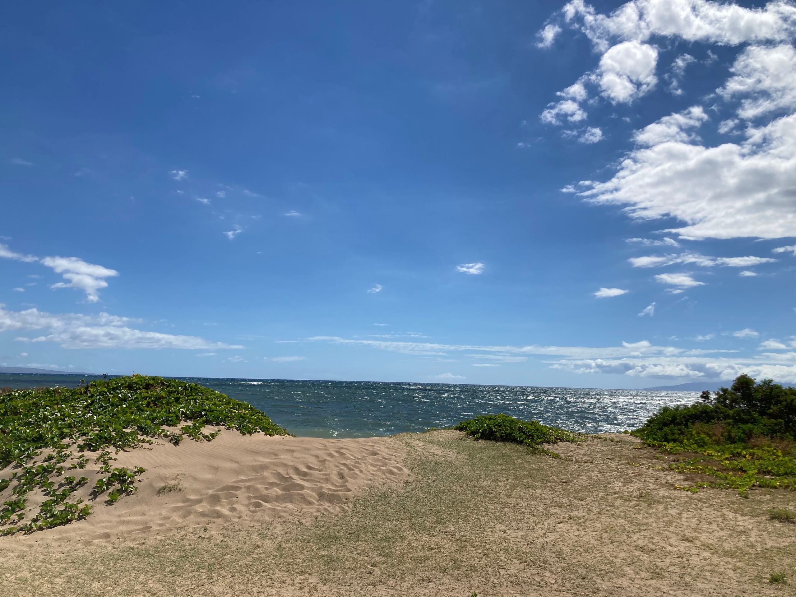 PREMIUM OCEAN VIEW REMODELED Condo * OCEANFRONT - Image 31