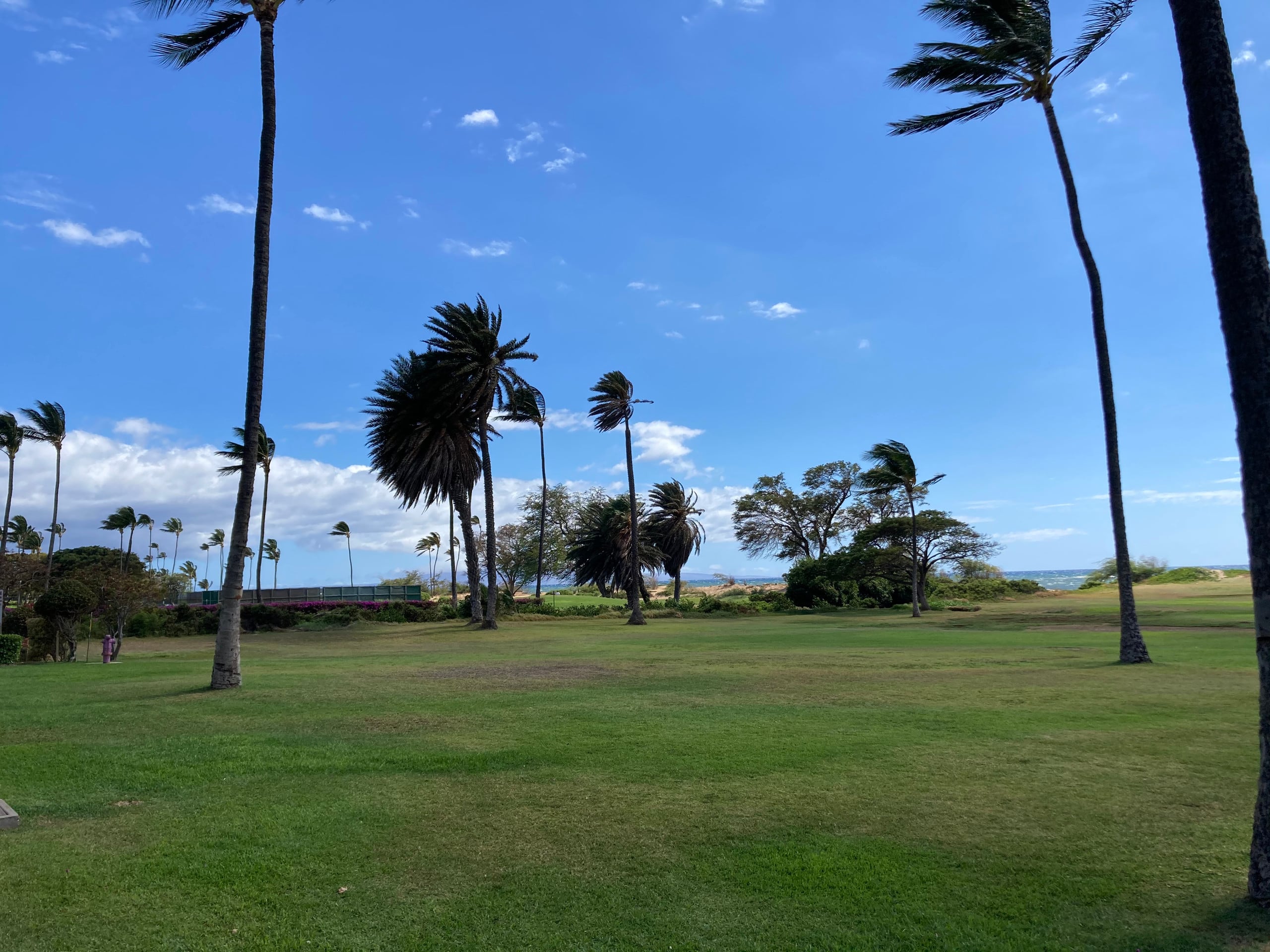 PREMIUM OCEAN VIEW REMODELED Condo * OCEANFRONT - Image 28