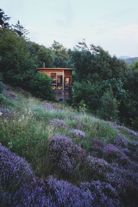 Top performing Airbnb: Lazybed in Assynt