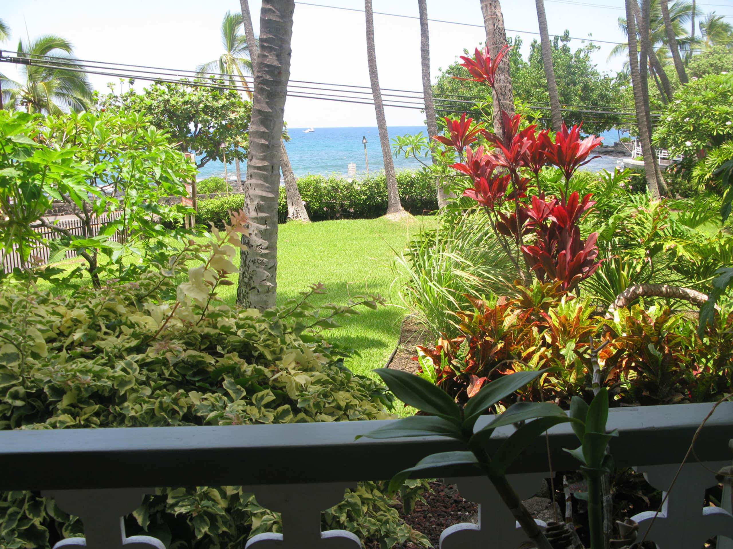 Condo in Kailua-Kona · ★4.65 · Studio · 1 bed · 1 bath - Image 1