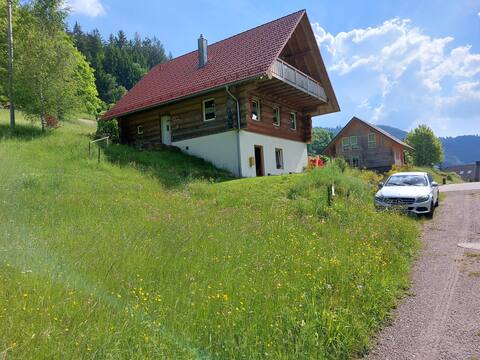 Natural trunk house for self-catering