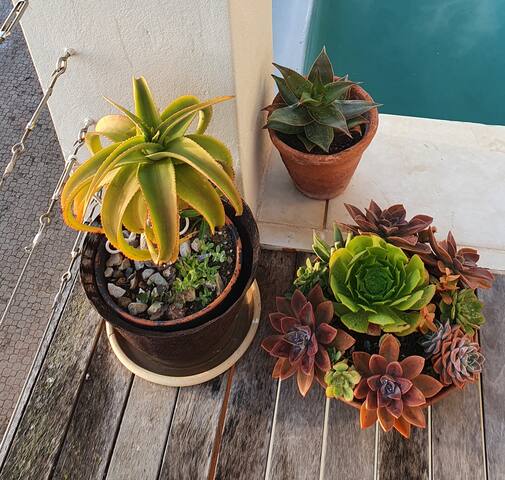 Spectacular, secure setting Cairnside/Simonstown gallery image 3