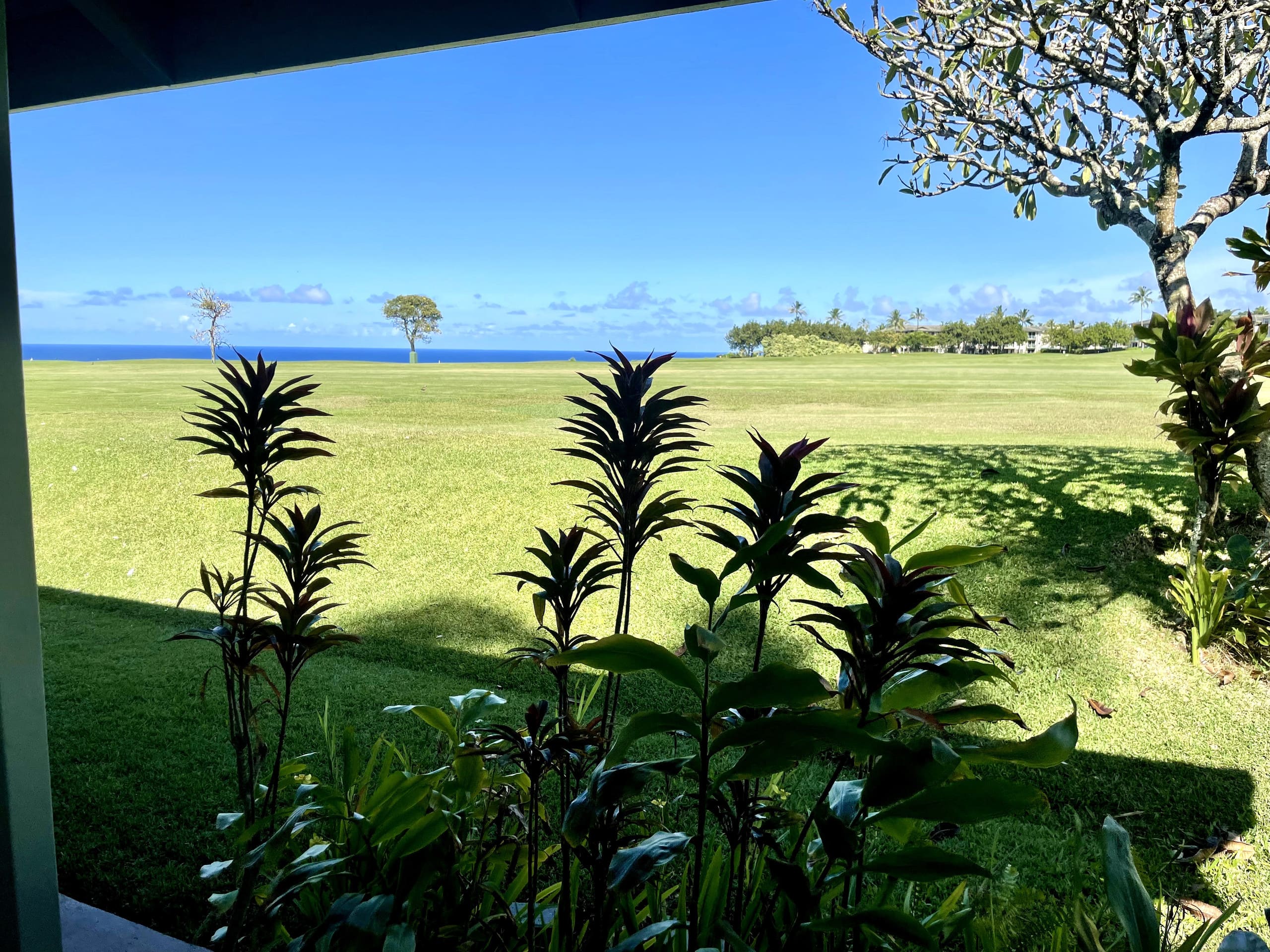 Condo in Princeville · ★4.86 · 1 bedroom · 1 bed · 1 private bath - Image 19