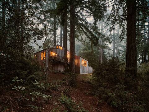 Sea Ranch Forest Retreat with Ocean Views