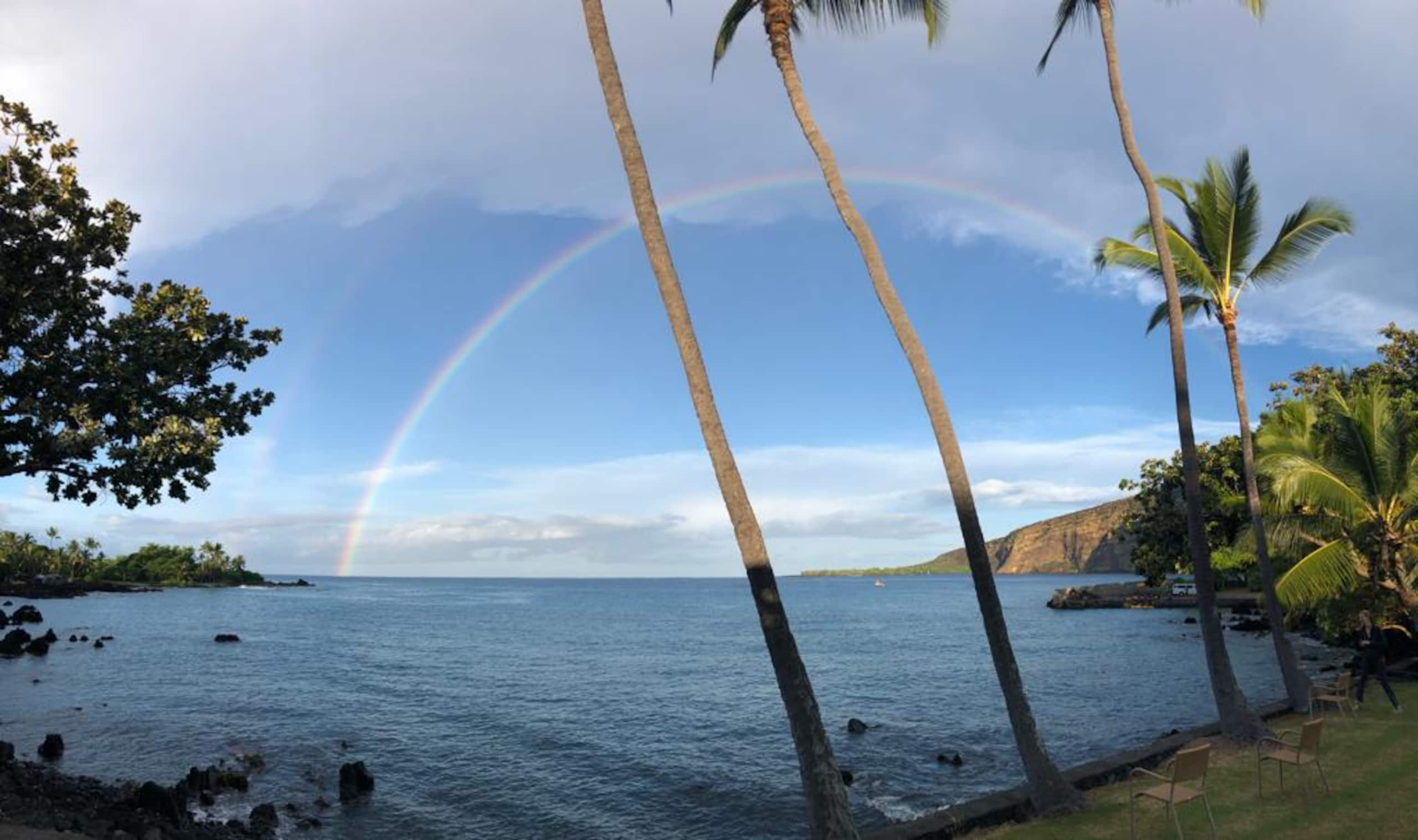 Dolphins visit Kealakekua Bay - Photo 42