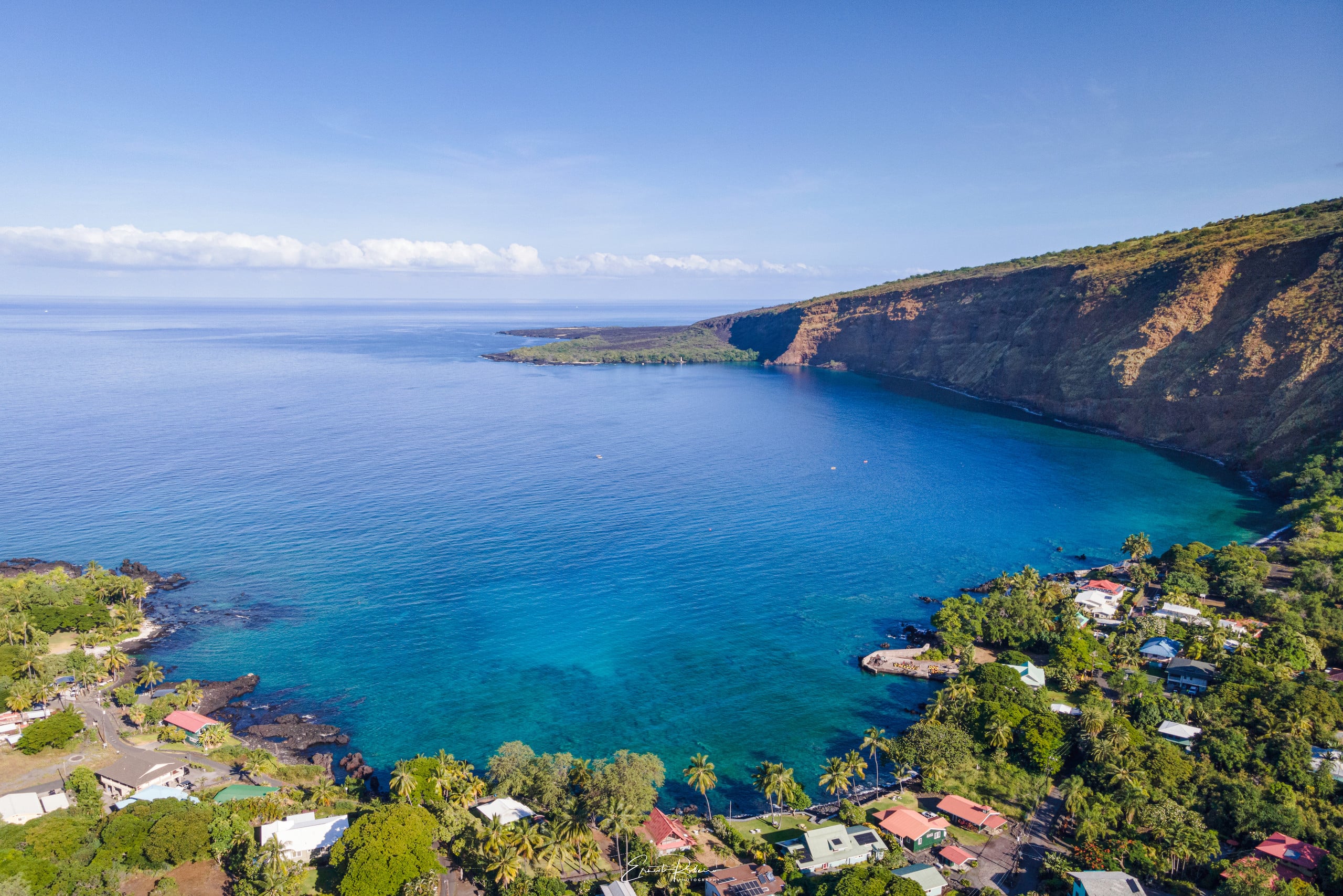 Dolphins visit Kealakekua Bay - Photo 3