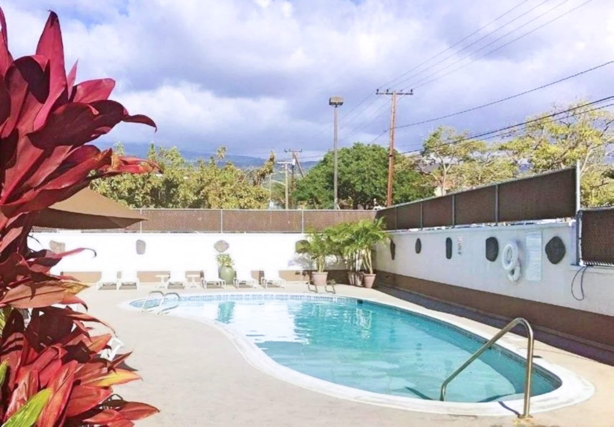 2 bd/2 bath Modern Ali’i Dr Condo right in town! - Image 26