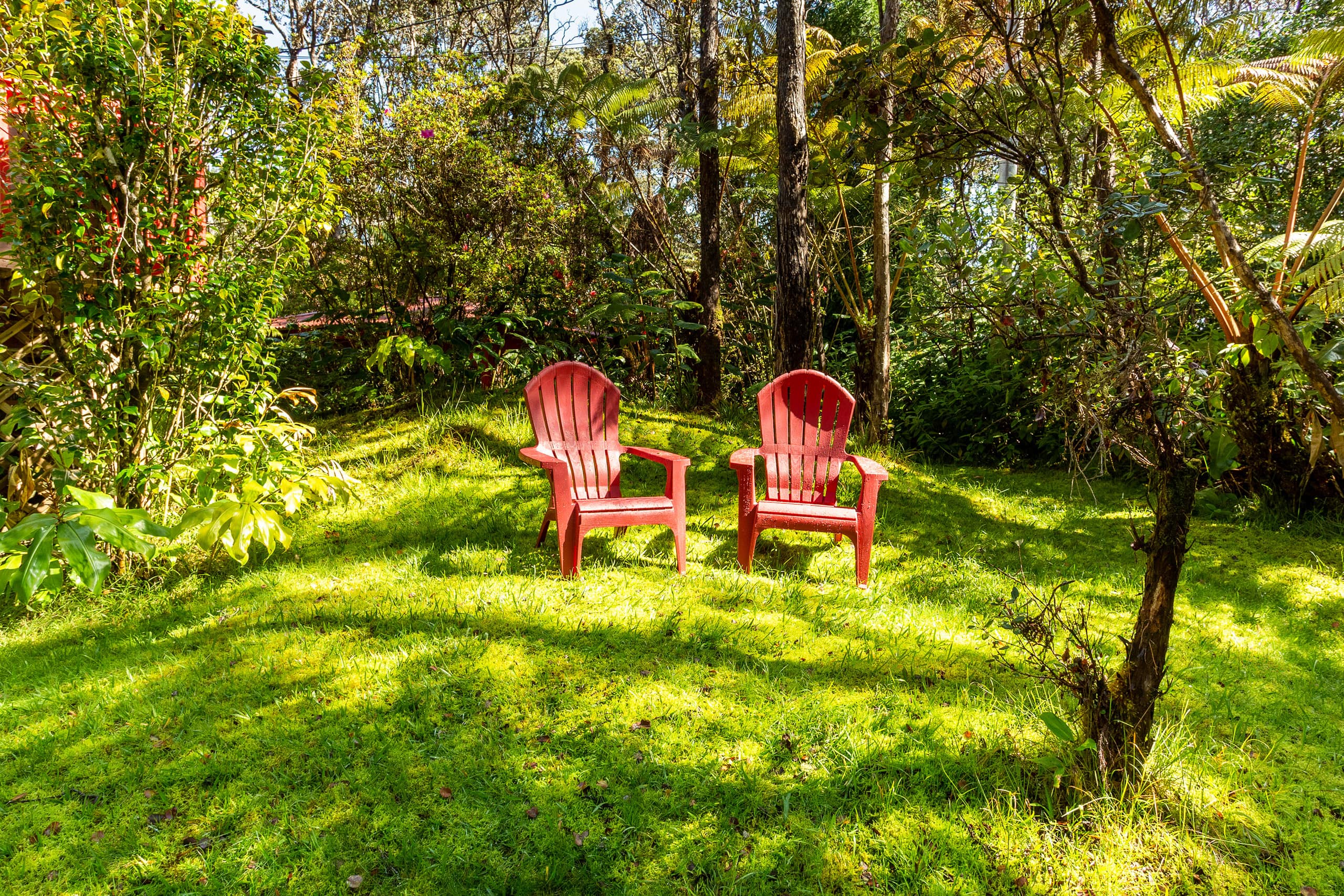 Cabin in Volcano · ★4.93 · 2 bedrooms · 3 beds · 1 bath - Image 23
