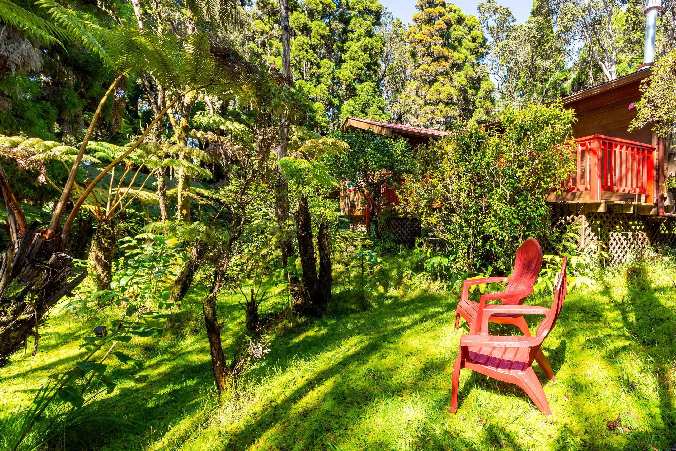 Cabin in Volcano · ★4.93 · 2 bedrooms · 3 beds · 1 bath - Image 27