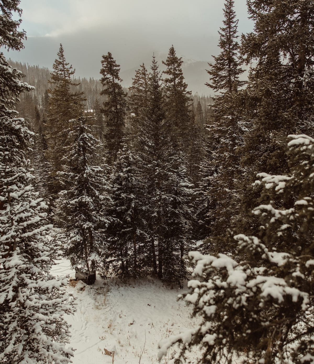 Buying And Renovating A Log Cabin For Airbnb