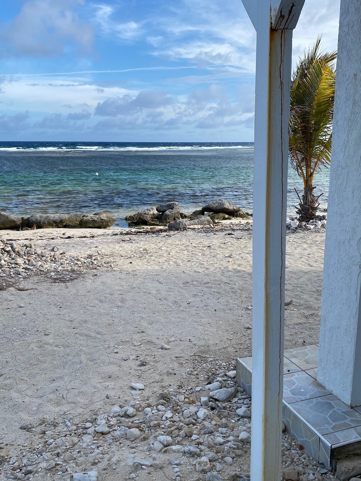 A sandy beach is visible through an open doorway, featuring rocky shoreline and gentle waves lapping at the water's edge. A palm tree sways nearby under a partly cloudy sky, enhancing the coastal ambiance of the scene.