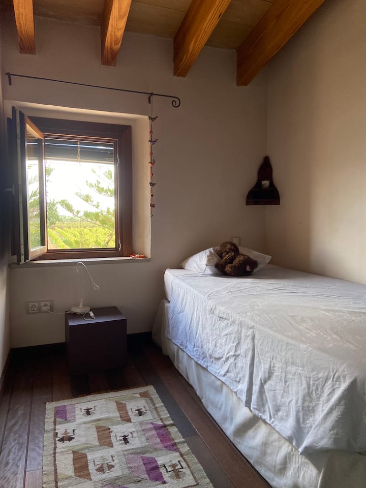 Პატარა ოთახი ვენახების ხედებით