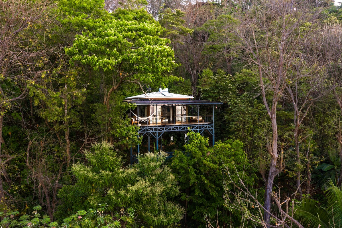 An elevated wooden tree house is surrounded by lush greenery, blending seamlessly with the vibrant jungle environment. The structure features a spacious outdoor terrace that offers views of the surrounding treetops, creating a serene and private retreat in nature.