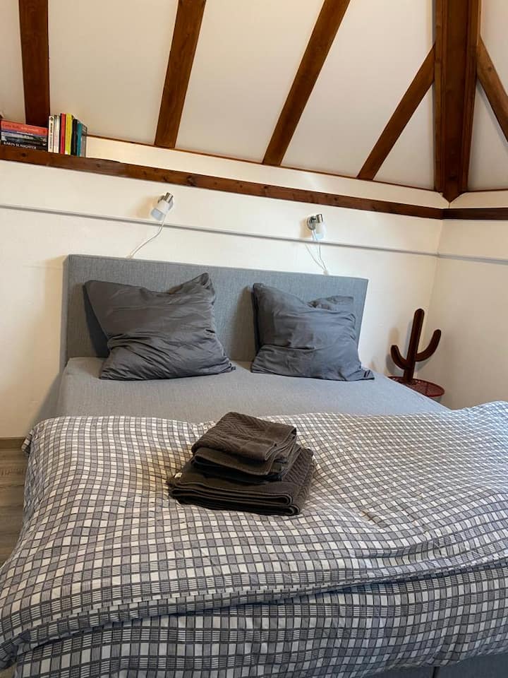 ห้องนอนชั้นล่างบ็อกซ์สปริง 180 x 200