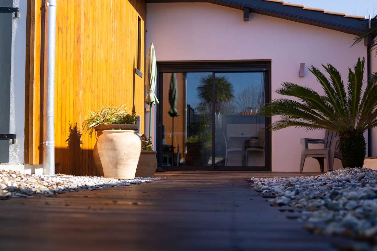 A pathway lined with small stones leads to a glass door that opens into the studio. Potted plants are positioned alongside the path, and a tall palm adds a touch of greenery. Sunlight casts warm tones on the wooden siding of the building.