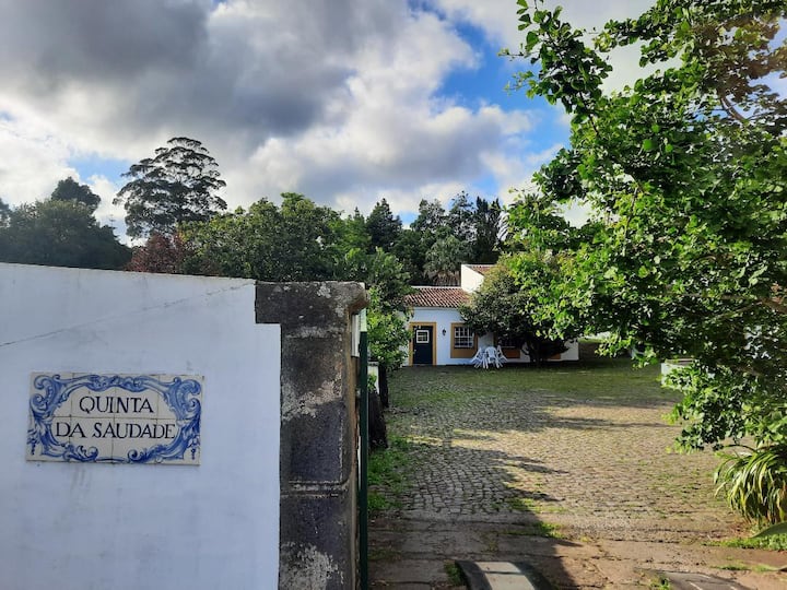 Terceira Island Holiday Rentals & Homes Azores, Portugal Airbnb