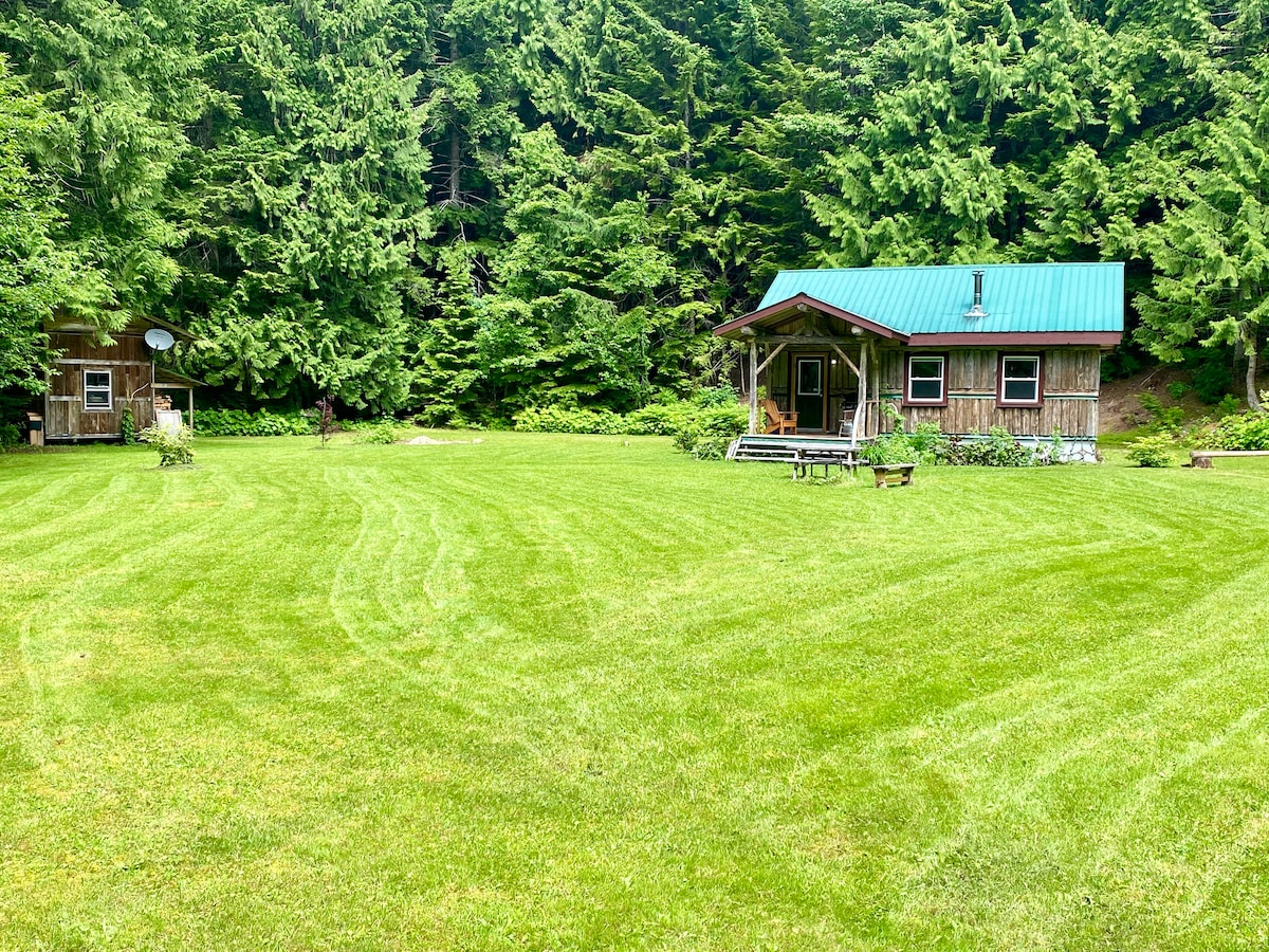 The cabin is set on a large, well-maintained lawn surrounded by lush forests. The wooden structure features a green metal roof and a welcoming porch with steps leading up to the entrance. A picnic area with benches is visible in the yard.