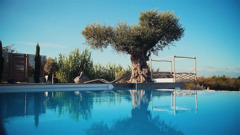 Luxury Villa with Pool