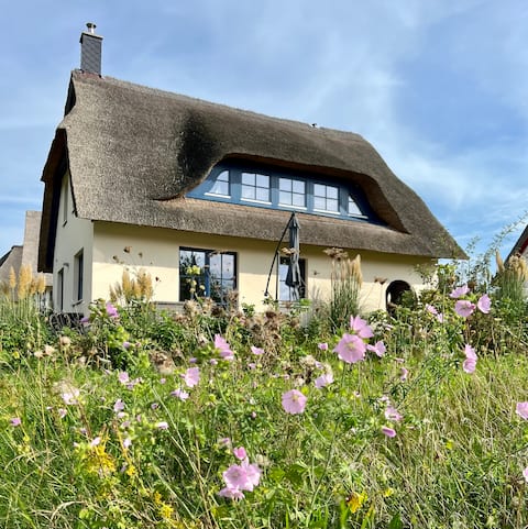 Stylish thatched roof house Coastline on the Baltic Sea
