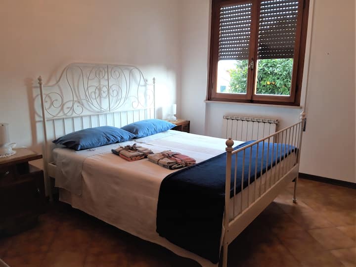 Dvojitý výhľad na zadnú stranu domu