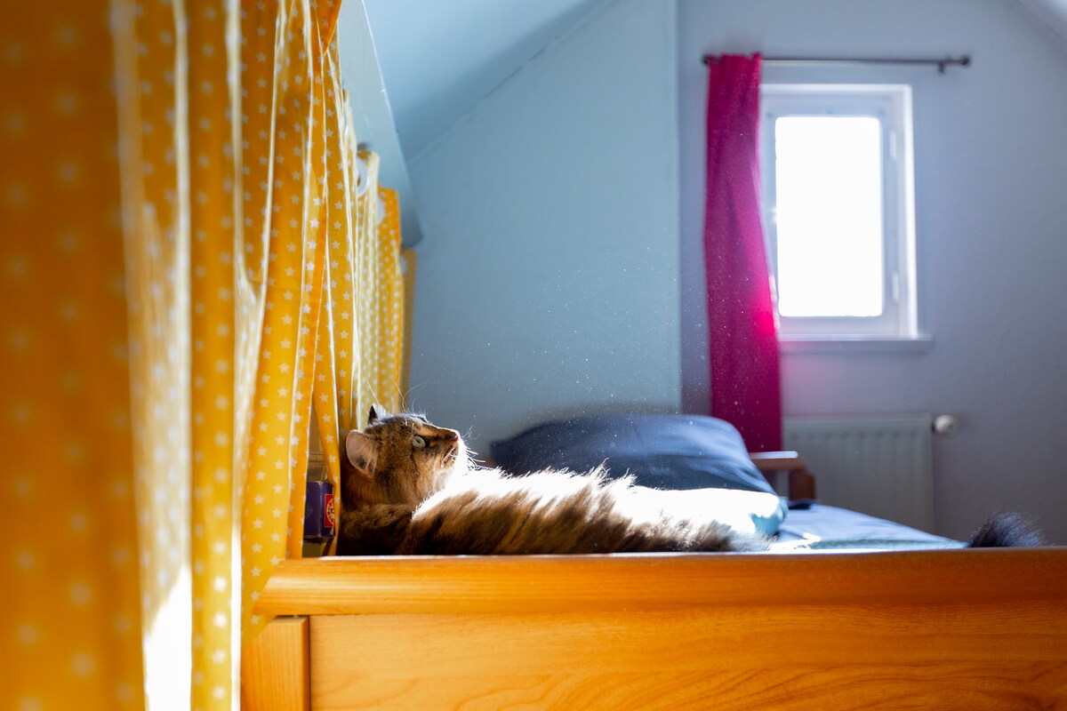 Pistache se opušta...