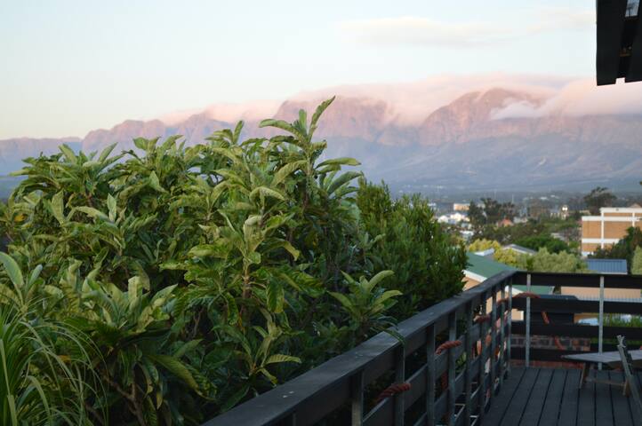 Holiday Bliss! gallery image 3