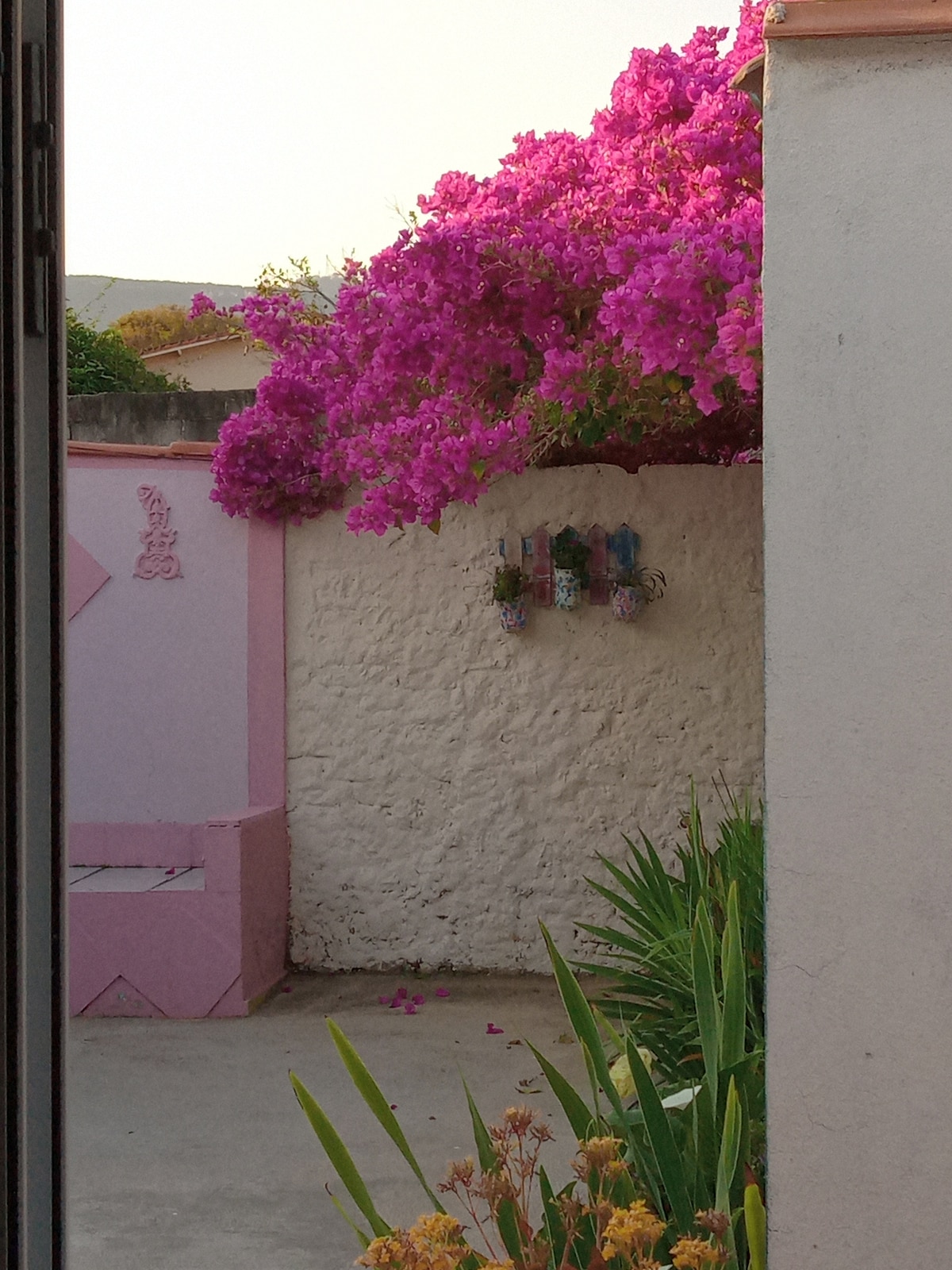 A vibrant bougainvillea plant cascades over a textured white wall, creating a burst of pink against the backdrop. Below, small decorative pieces are hung on the wall, while green plants and yellow flowers add natural beauty to the scene.