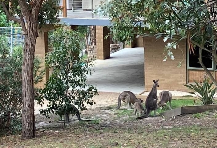 Extra Large Beach House gallery image 2