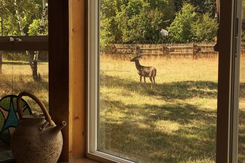 Sadie's Place, Two Bedroom tucked into paradise.