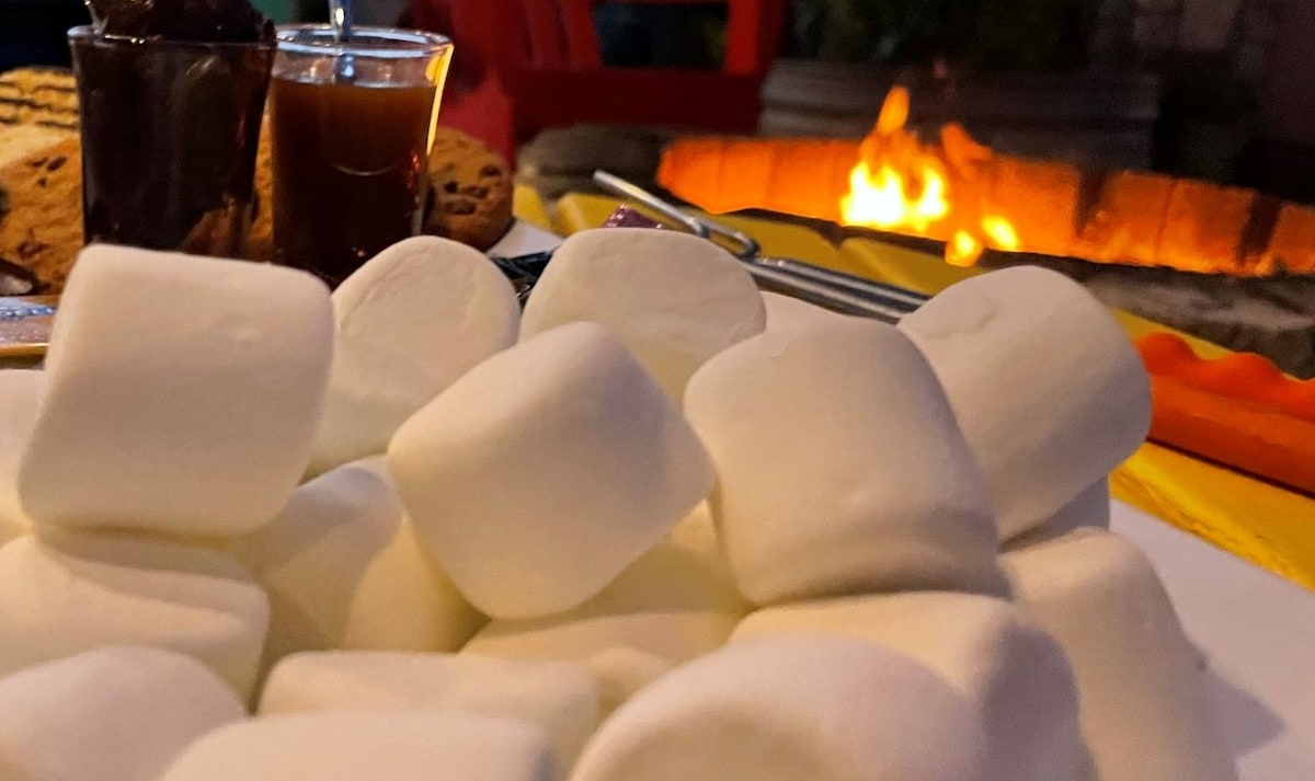 A close-up view of a pile of soft marshmallows sits in the foreground, ready for roasting. Behind them, a warm fire glows, with a selection of cookies and dipping sauces displayed nearby, enhancing the inviting atmosphere of an outdoor gathering.