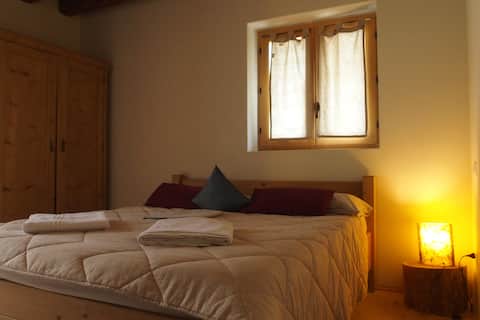 THE HOUSE IN THE WOODS 2