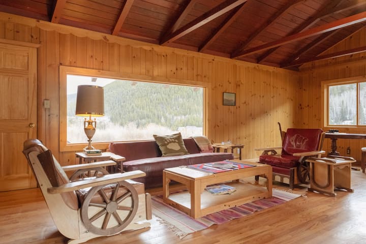 Bear Paw Cabin~waterfront: Fishing, Hiking, Biking - Georgetown, CO
