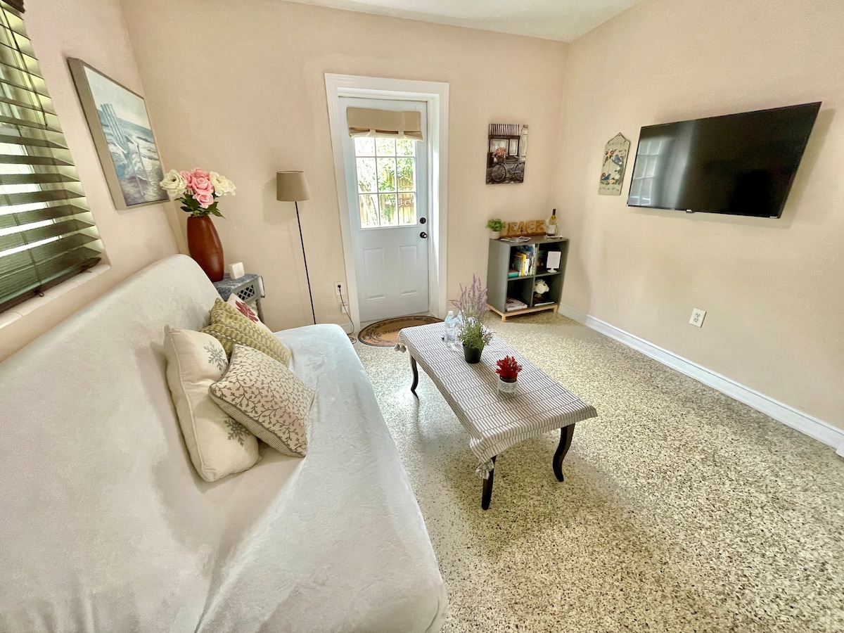 Sala con TV inteligente LED, wifi , hervidor de agua, microondas y nevera pequeña