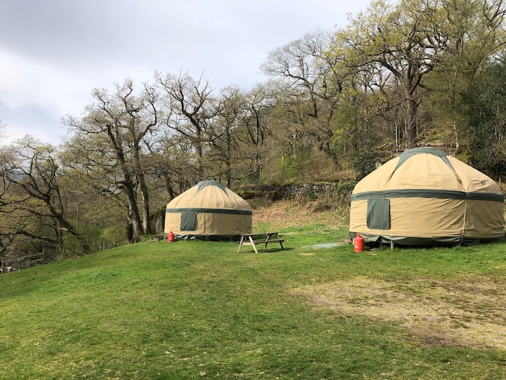 Inside Out Yurts at Seatoller (1)