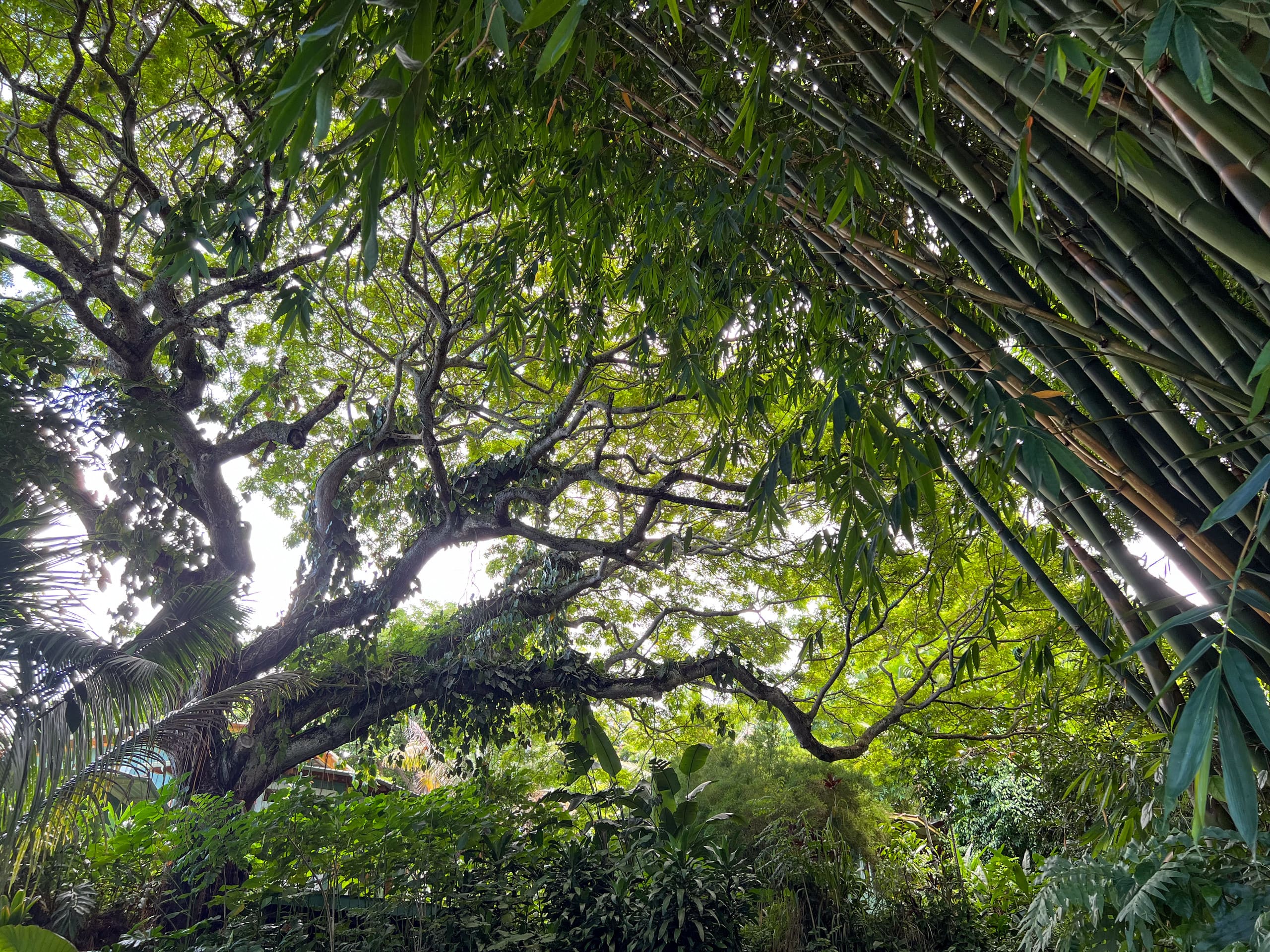 Unplug and Reset: Bamboo Cabin - Photo 10