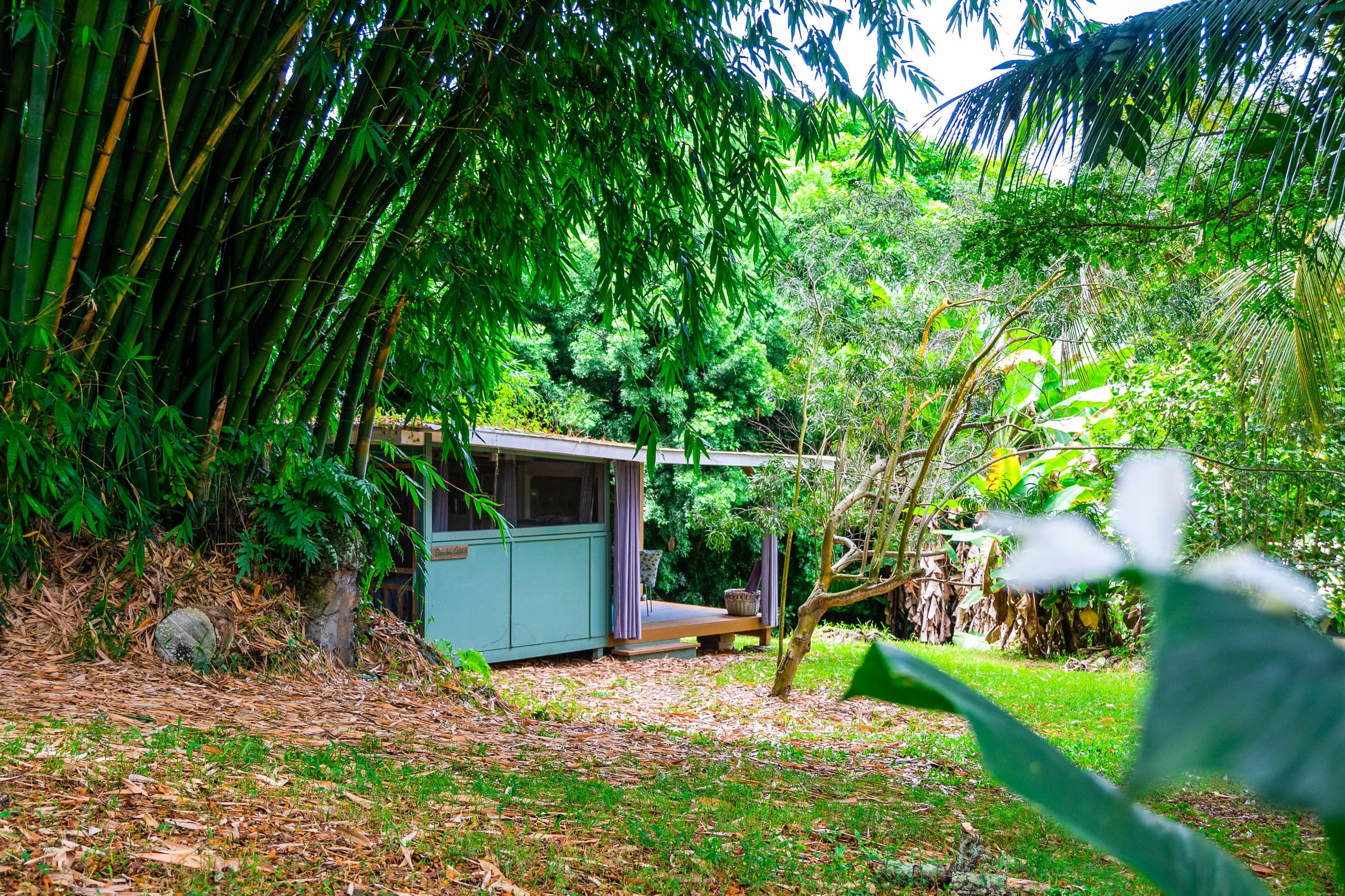 Unplug and Reset: Bamboo Cabin - Main photo