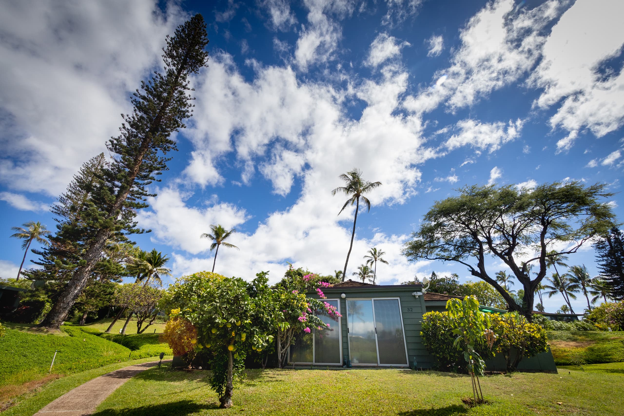 Home in Lahaina · ★4.92 · 3 bedrooms · 4 beds · 2 private baths - Image 17