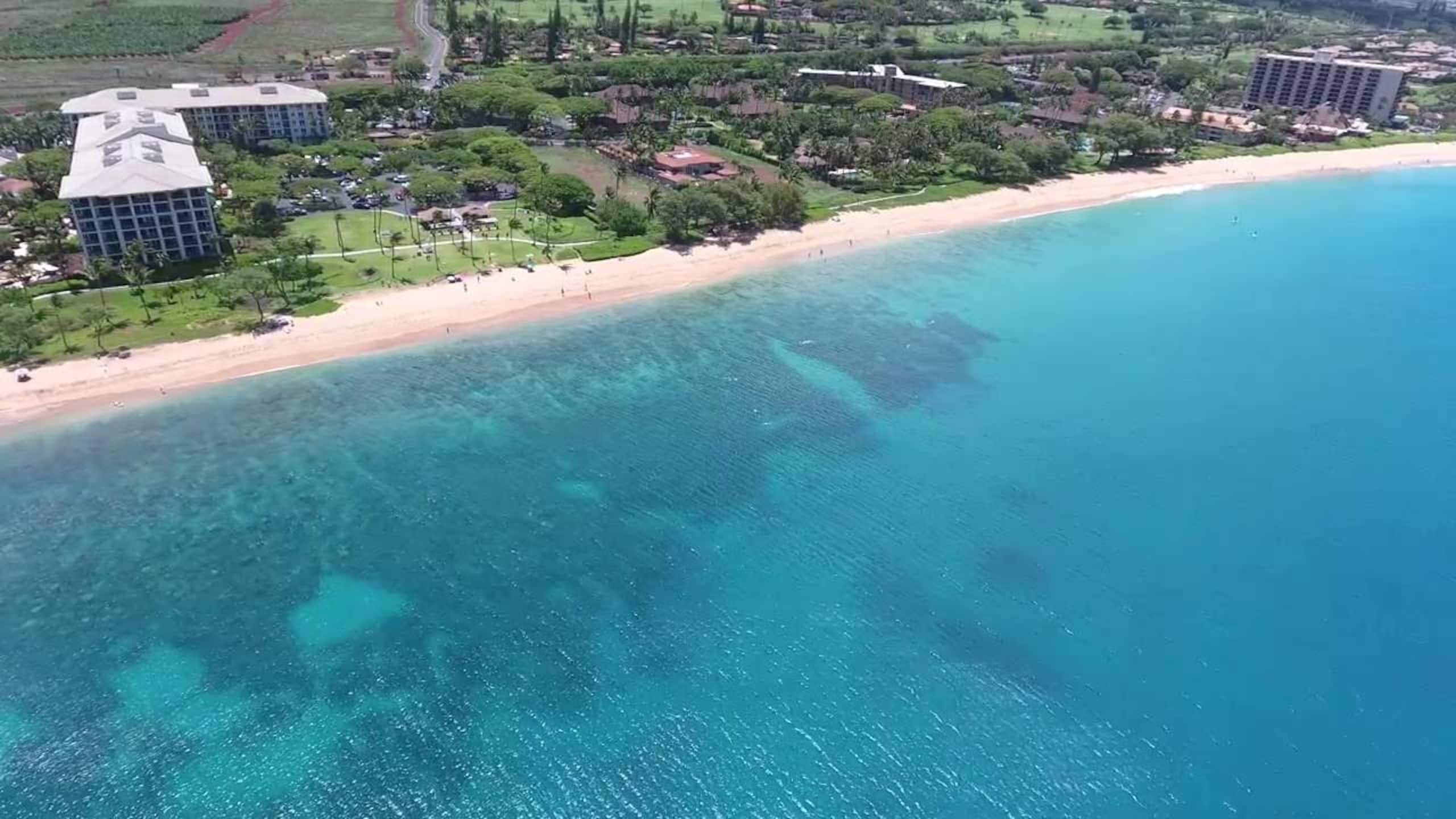 Home in Lahaina · ★4.92 · 3 bedrooms · 4 beds · 2 private baths - Image 20