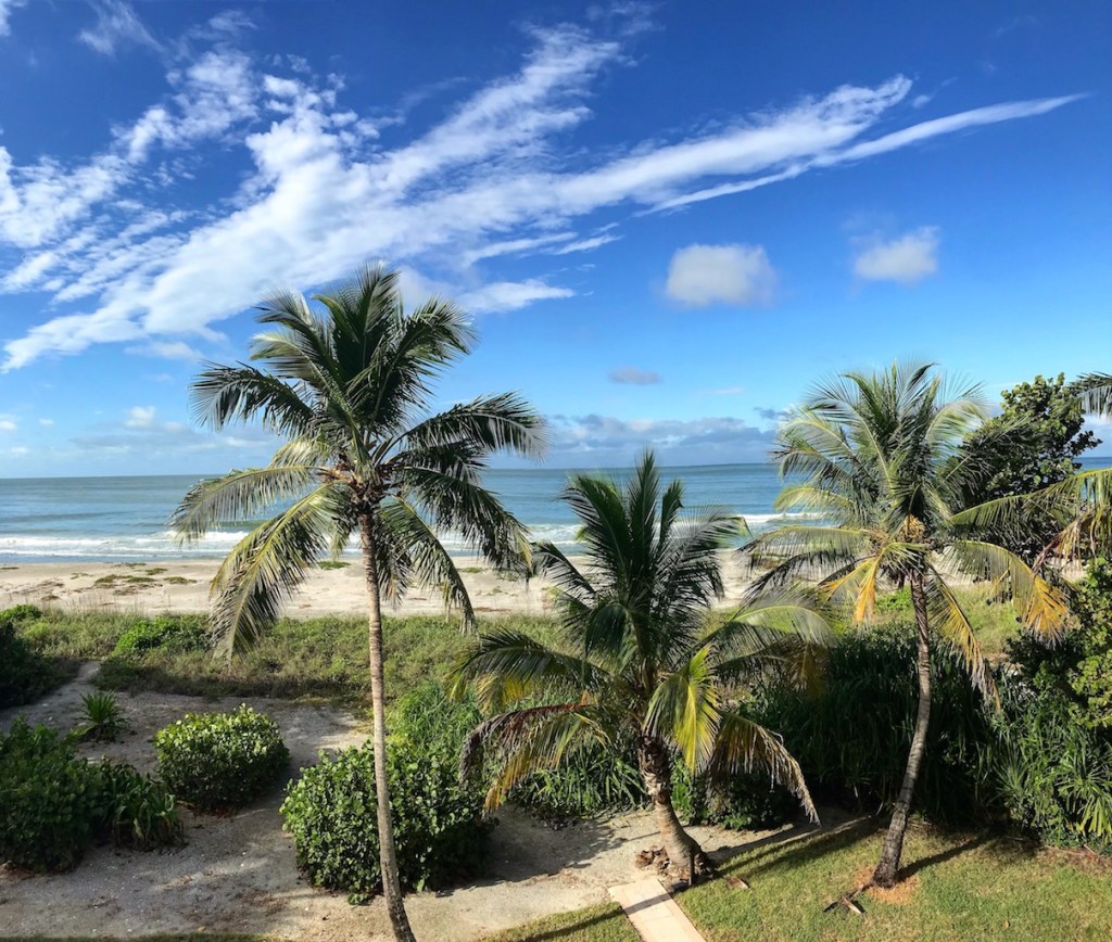 A serene coastal view showcases palm trees swaying gently in the breeze. The bright blue sky is dotted with wispy clouds, while the calm ocean glistens under the sunlight. Lush greenery frames the sandy shoreline, inviting a sense of relaxation.