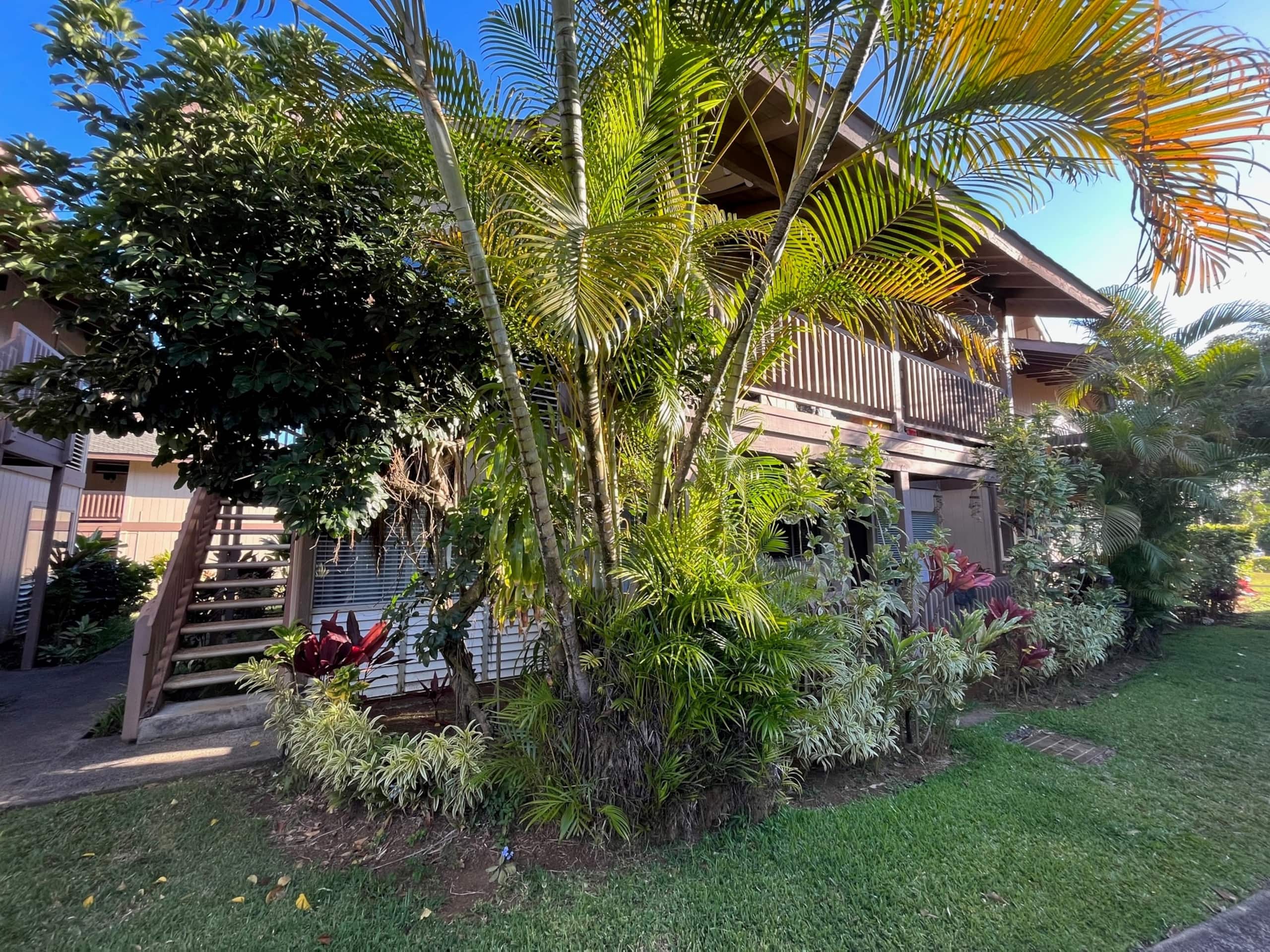 Condo in Princeville · ★4.81 · 1 bedroom · 4 beds · 1 private bath - Image 23