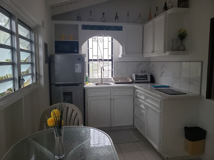 Comfortable Private One Bedroom Apartment - Barbados