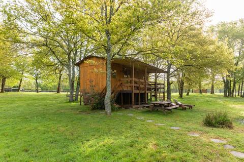 unusual night cowboy hut on a ranch