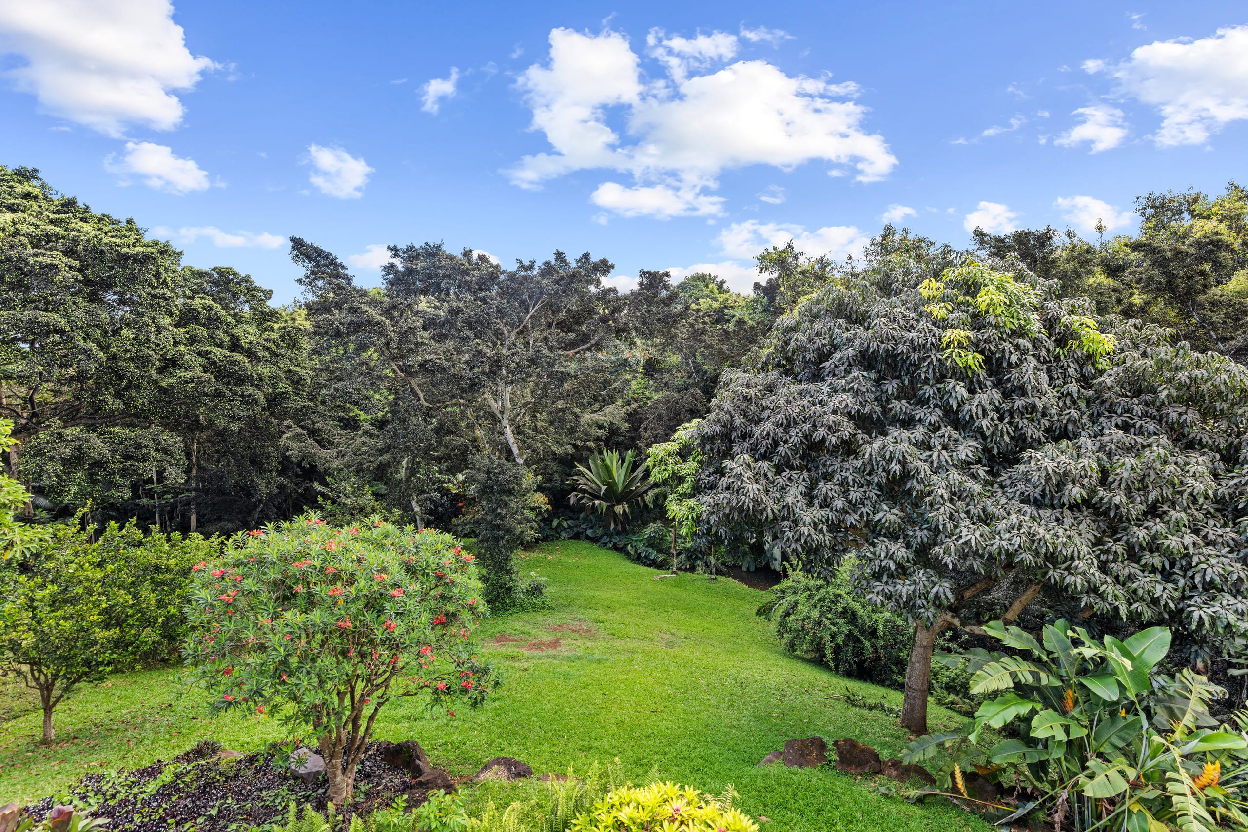 Home in Princeville · ★4.98 · 4 bedrooms · 5 beds · 2.5 private baths - Image 14