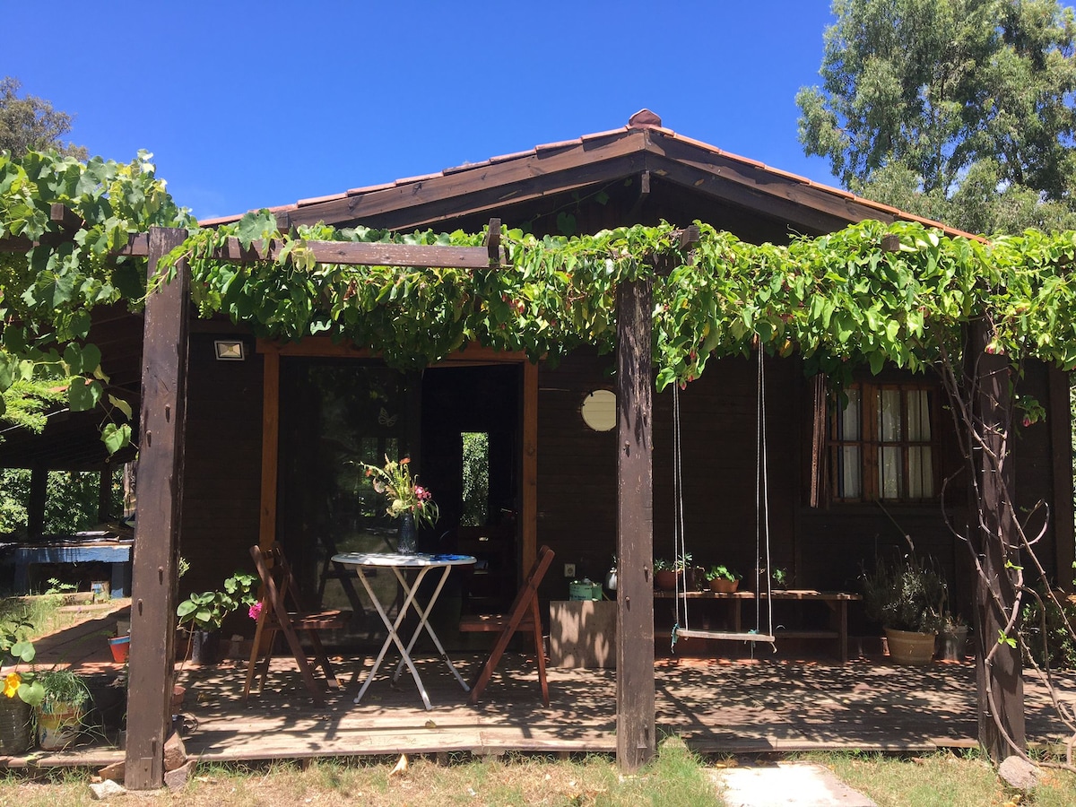 A wooden cabin is framed by lush greenery and features a covered porch. A small table with two chairs occupies the outdoor space, where a swing hangs nearby. Natural light is abundant, creating a serene environment surrounded by trees.